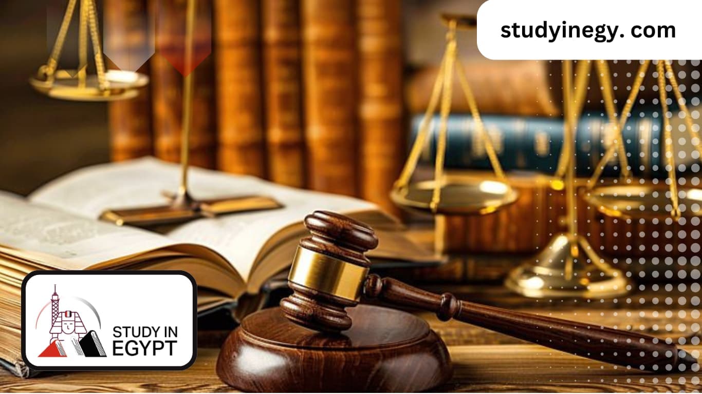 PhD in Administrative Law in Egypt