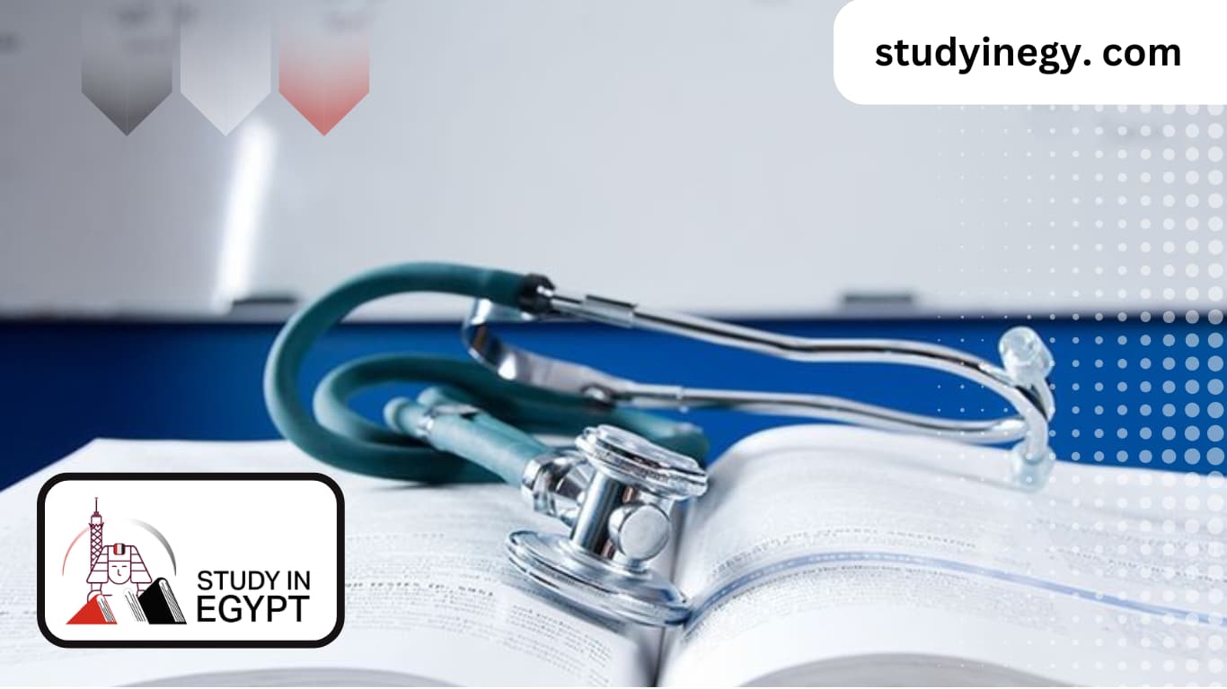 Master's Degree in Nursing in Egypt