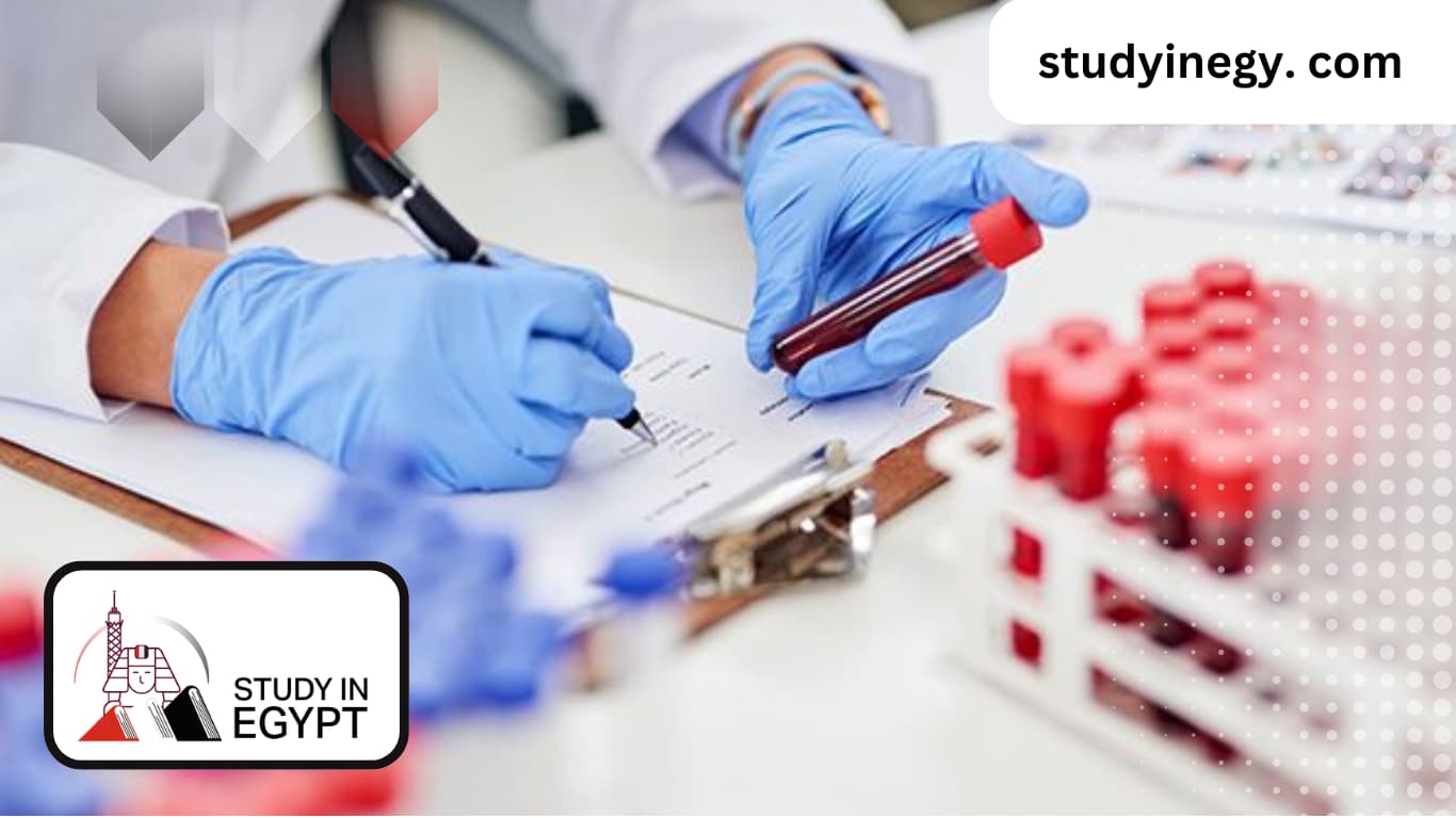 Master's Degree in Health Sciences in Egypt