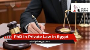 PhD in Private Law in Egypt