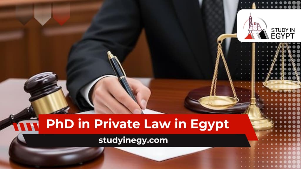 PhD in Private Law in Egypt