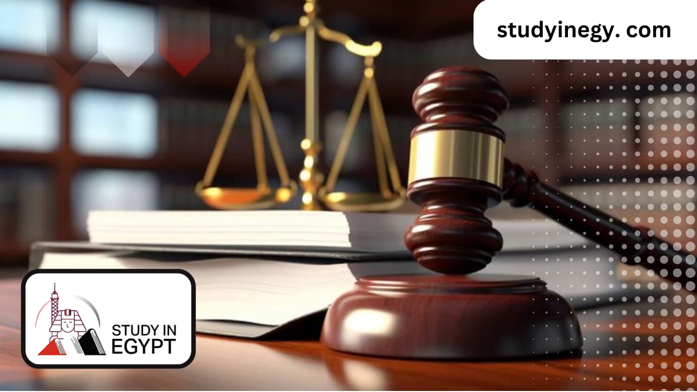 PhD in Private Law in Egypt