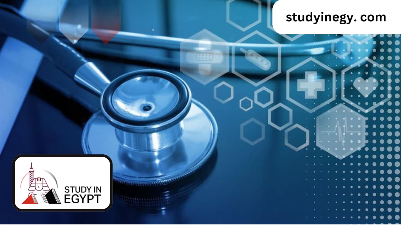 Best Countries to Study Medicine