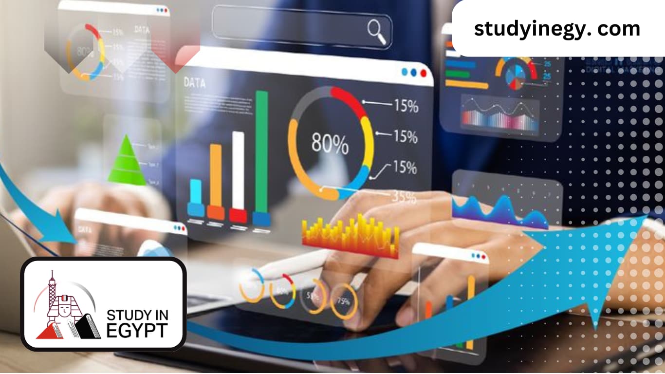 Master of Business Operations Management in Egypt