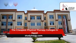 The Cheapest Physical Therapy Colleges in Egypt