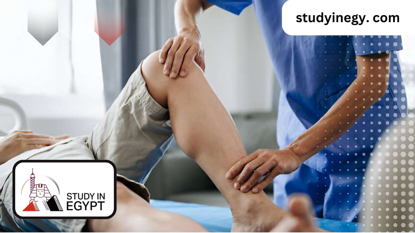 انهي منهم انسب مع The Cheapest Physical Therapy Colleges in Egypt 