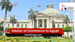 Master of Commerce in Egypt