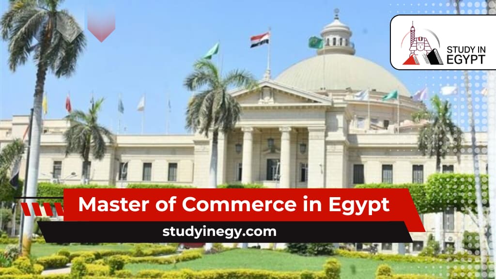 Master of Commerce in Egypt