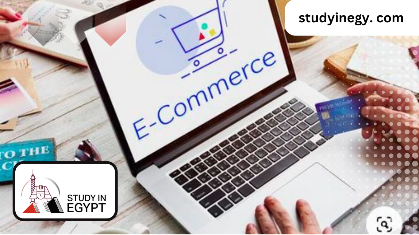 Master of Commerce in Egypt