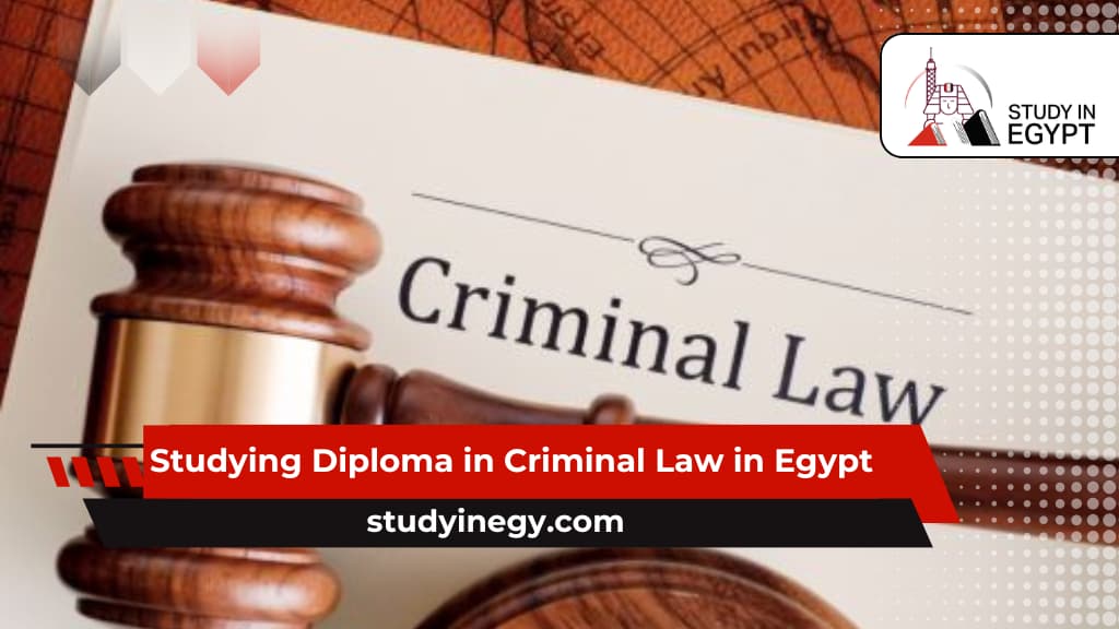 Studying Diploma in Criminal Law in Egypt