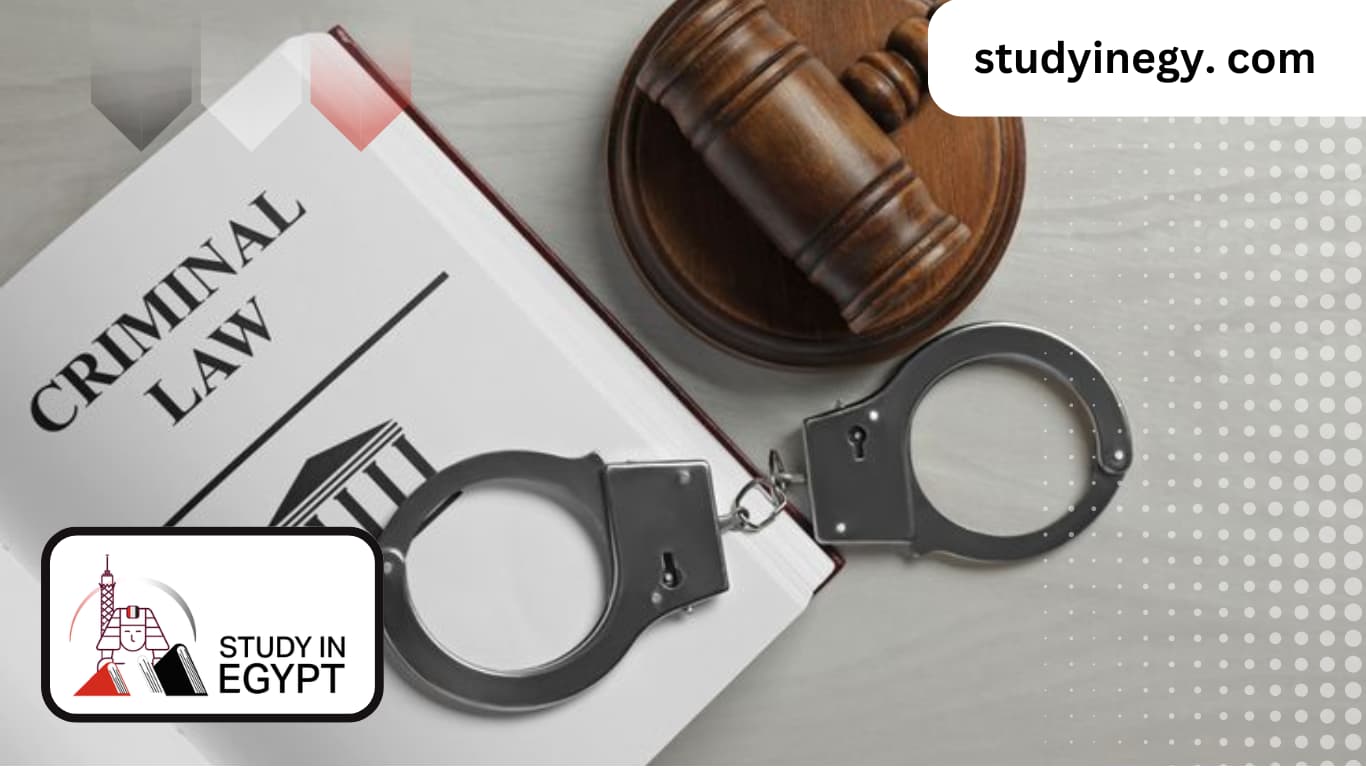 Studying Diploma in Criminal Law in Egypt