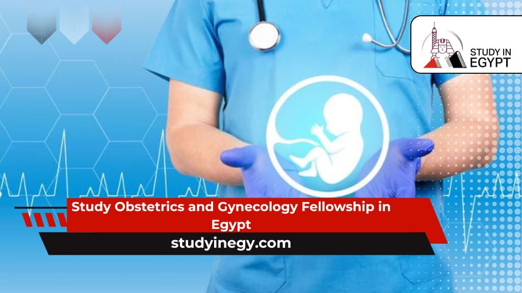 Study Obstetrics and Gynecology Fellowship in Egypt