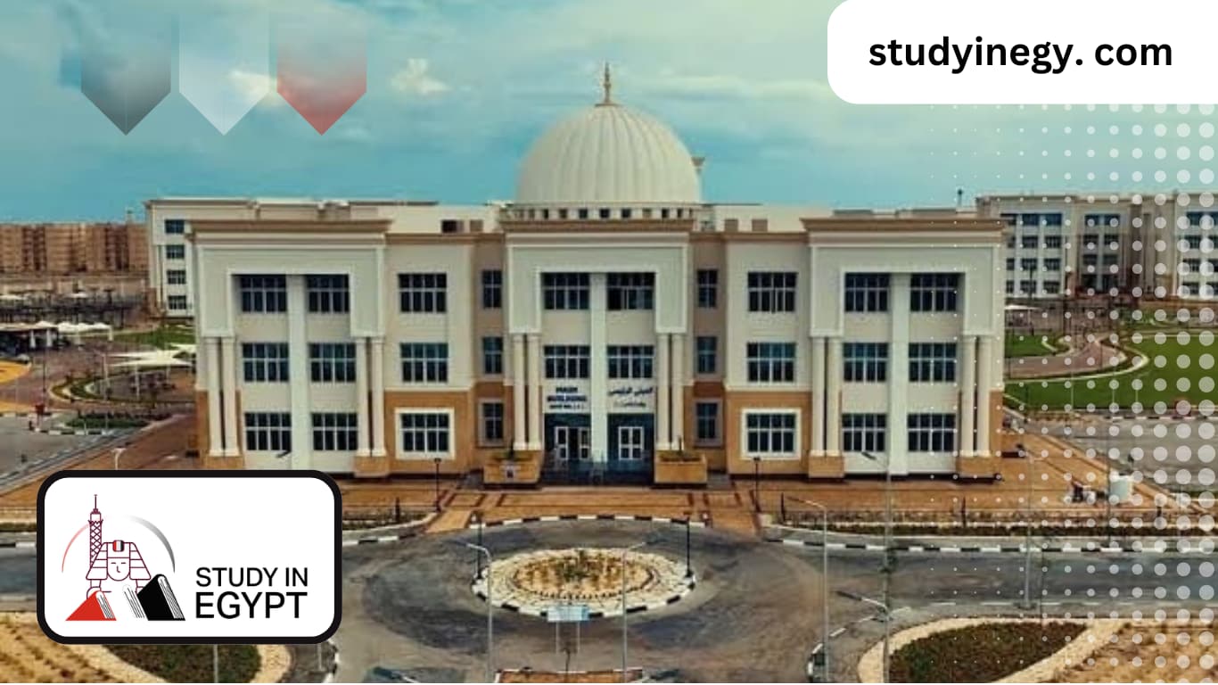 Mansoura University Fees for Non-Egyptians…