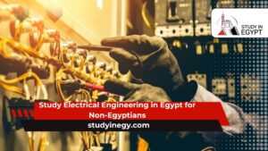 Study Electrical Engineering in Egypt for Non-Egyptians