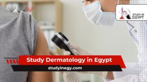 Study Dermatology in Egypt