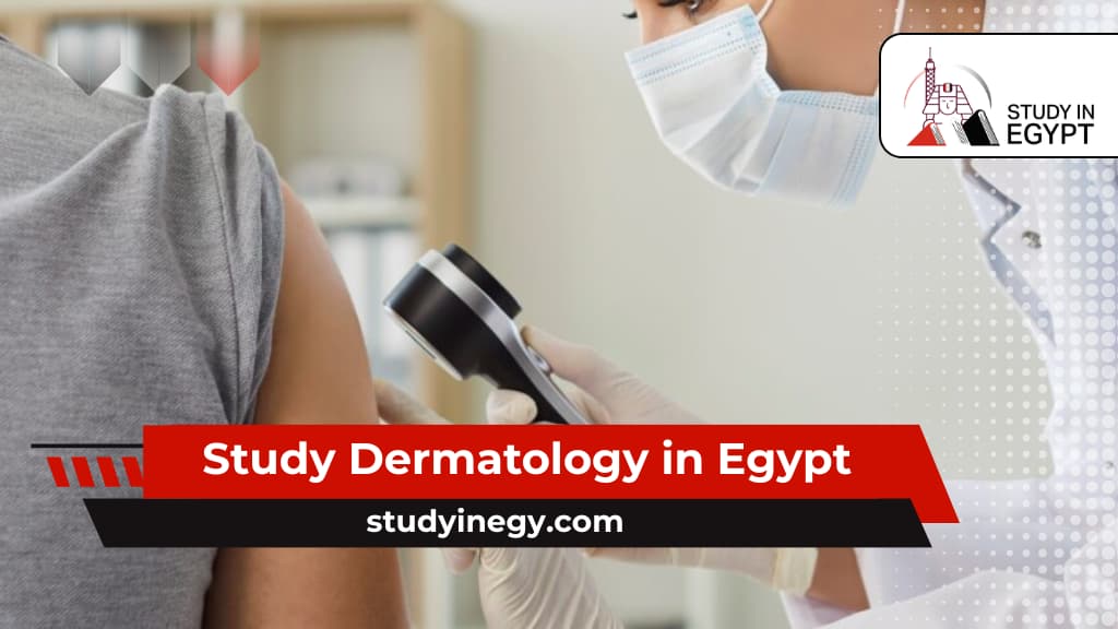 Study Dermatology in Egypt