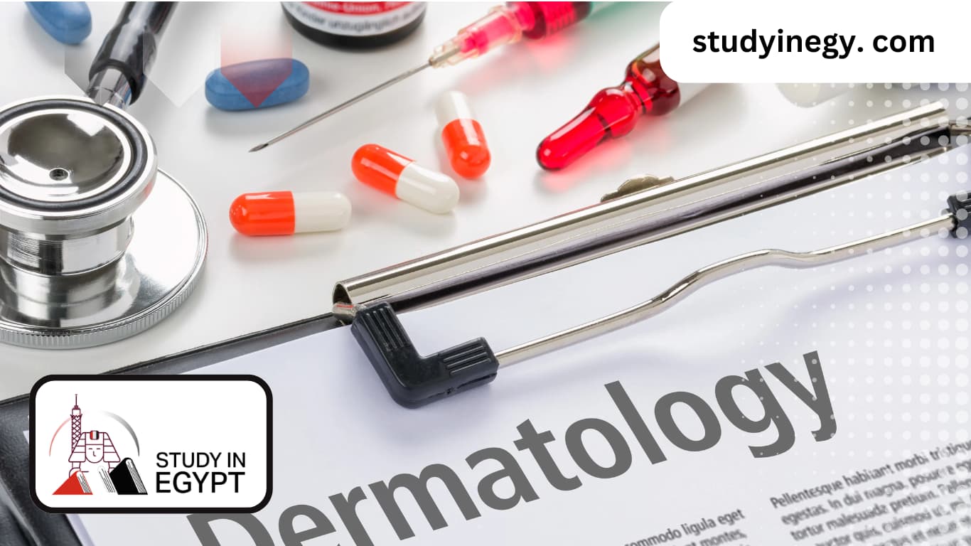 Study Dermatology in Egypt