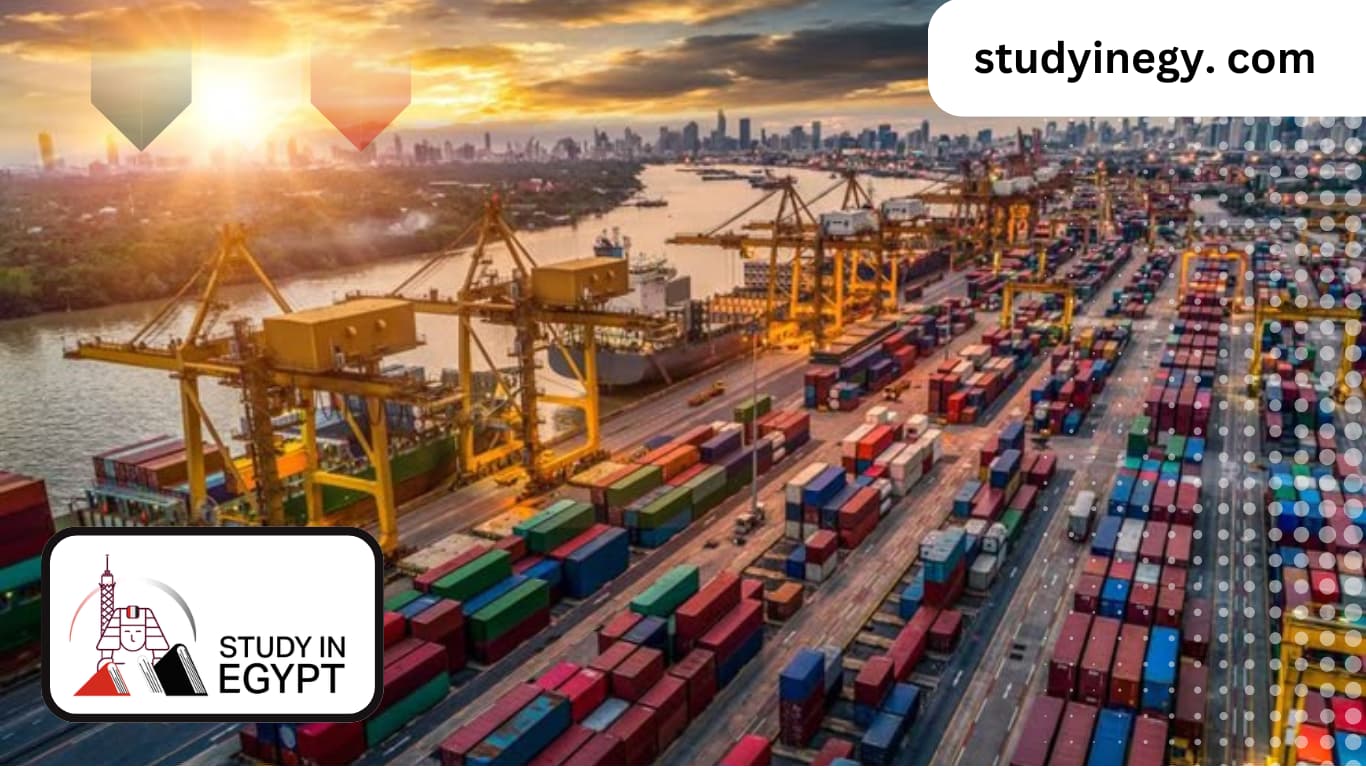 Supply Chain Management and Logistics Major