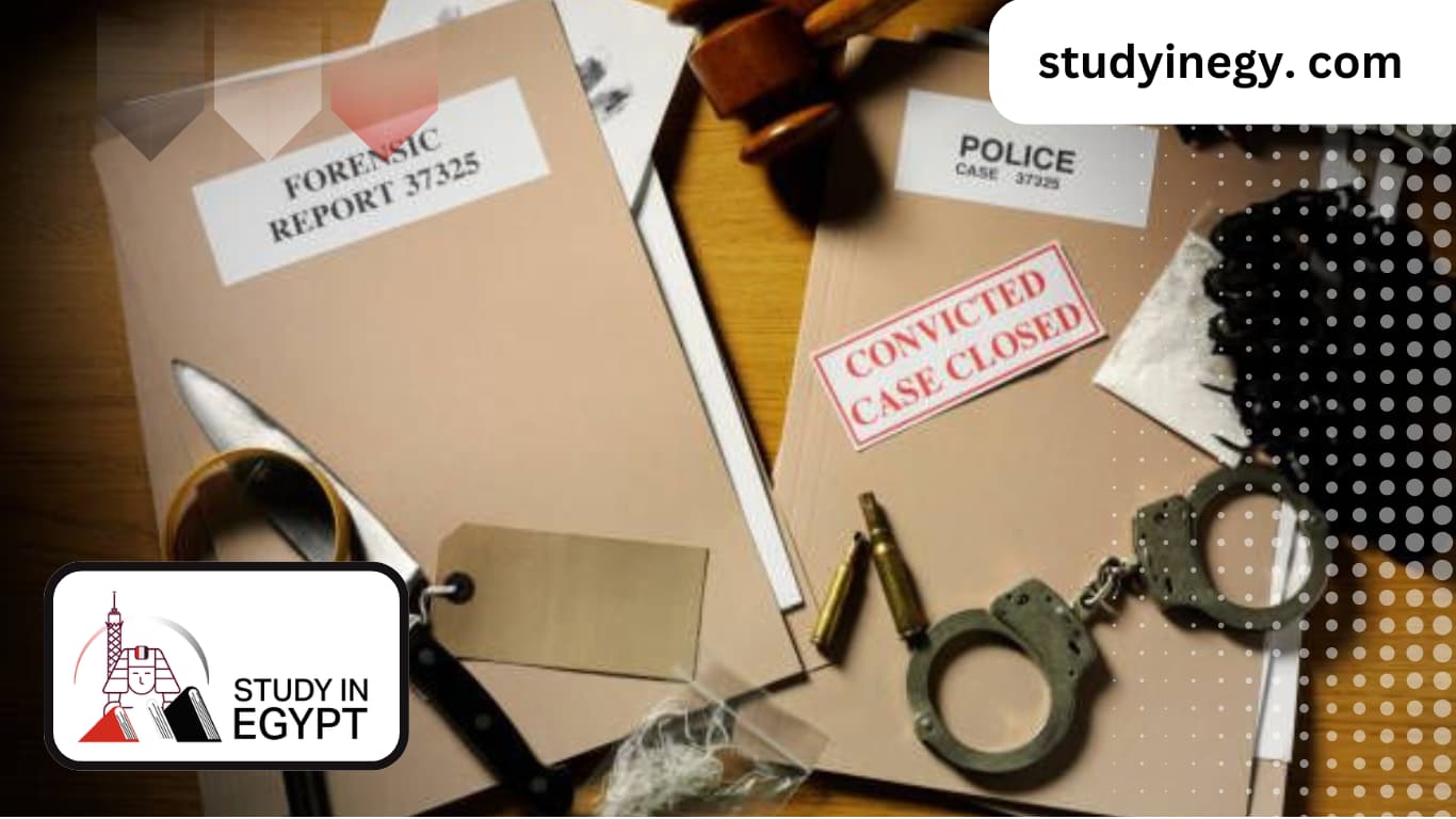 Studying Criminal Sciences in Egypt for International Students