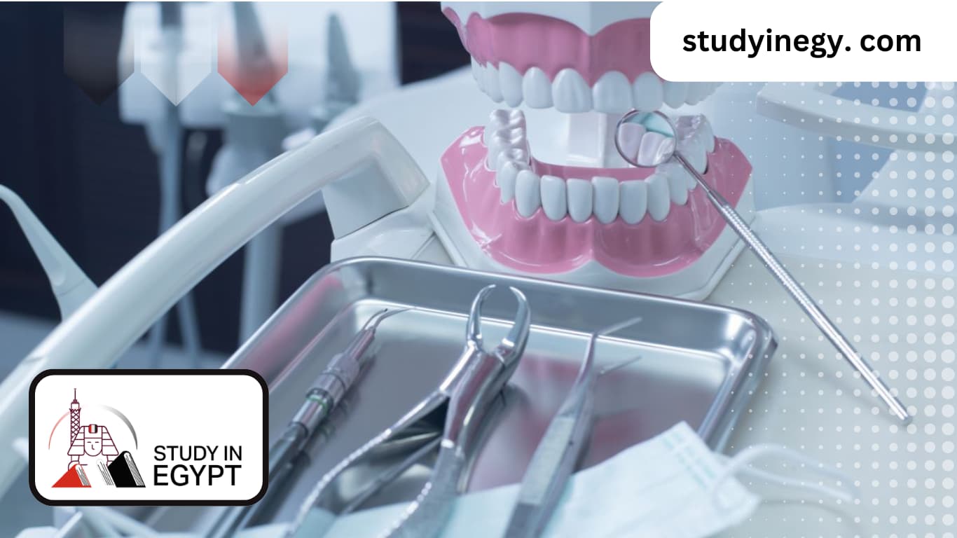 The Best Countries to Study a Master's Degree in Dentistry