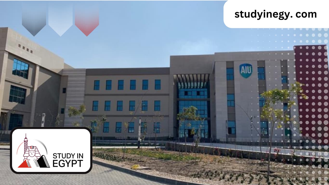 The Most Important Egyptian Certificates Recognized Internationally