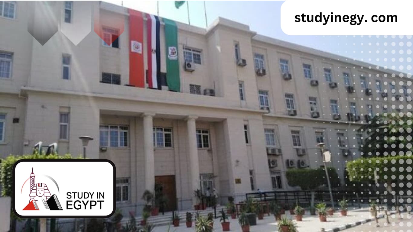 Faculty of Economics and Political Science Cairo University