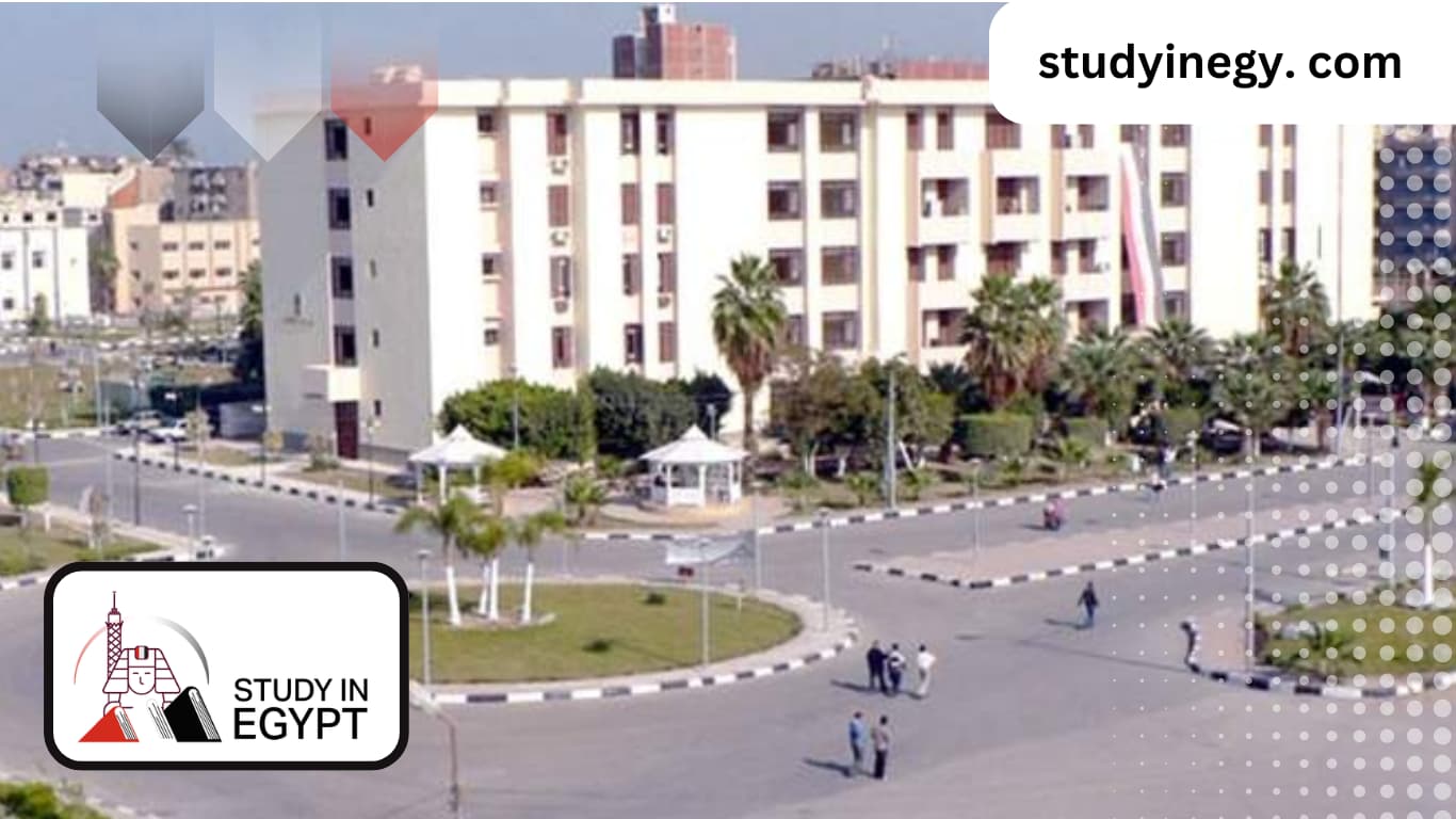 Registration at Fayoum University for International Students