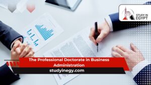 The Professional Doctorate in Business Administration