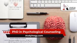 PhD in Psychological Counseling
