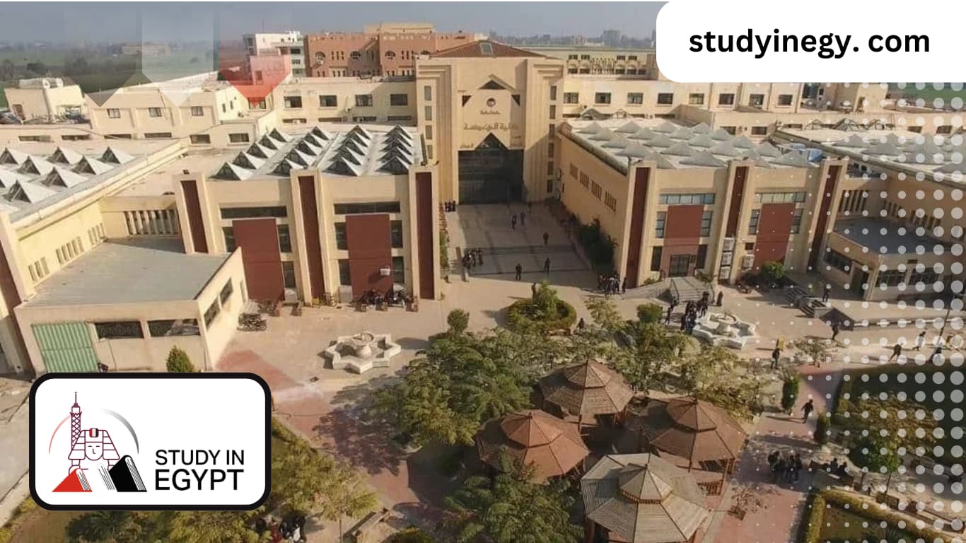 The Fees of Studying Master at Tanta University