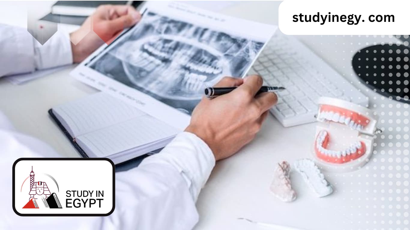 The Best Countries to Study for a Master's Degree Dentistry