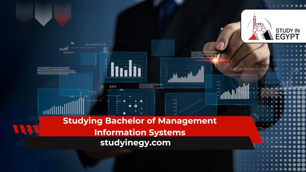 Studying Bachelor of Management Information Systems