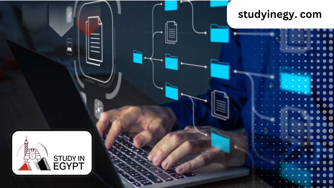 Studying Bachelor of Management Information Systems