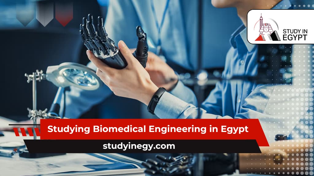 Studying Biomedical Engineering in Egypt