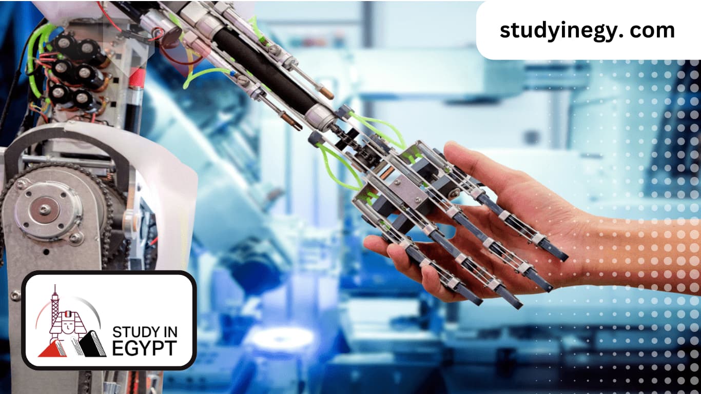 Studying Biomedical Engineering in Egypt