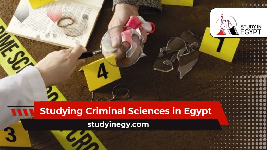 Studying Criminal Sciences in Egypt