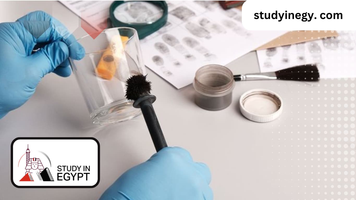 Studying Criminal Sciences in Egypt