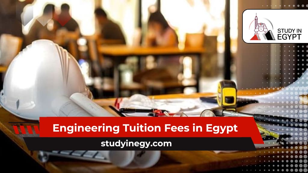 Engineering Tuition Fees in Egypt