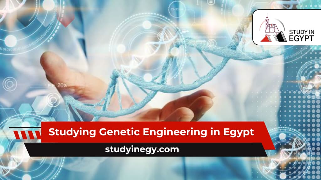 Studying Genetic Engineering in Egypt