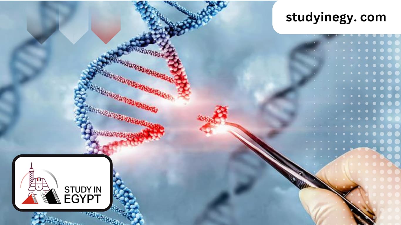 Studying Genetic Engineering in Egypt