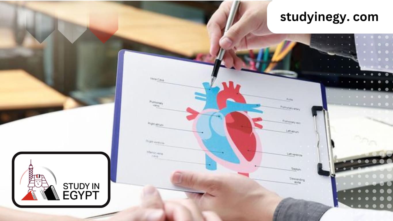 Advantages and Disadvantages of Cardiac Surgery