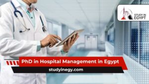 PhD in Hospital Management in Egypt