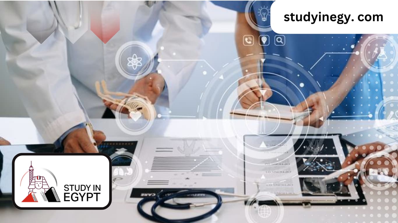 PhD in Hospital Management in Egypt