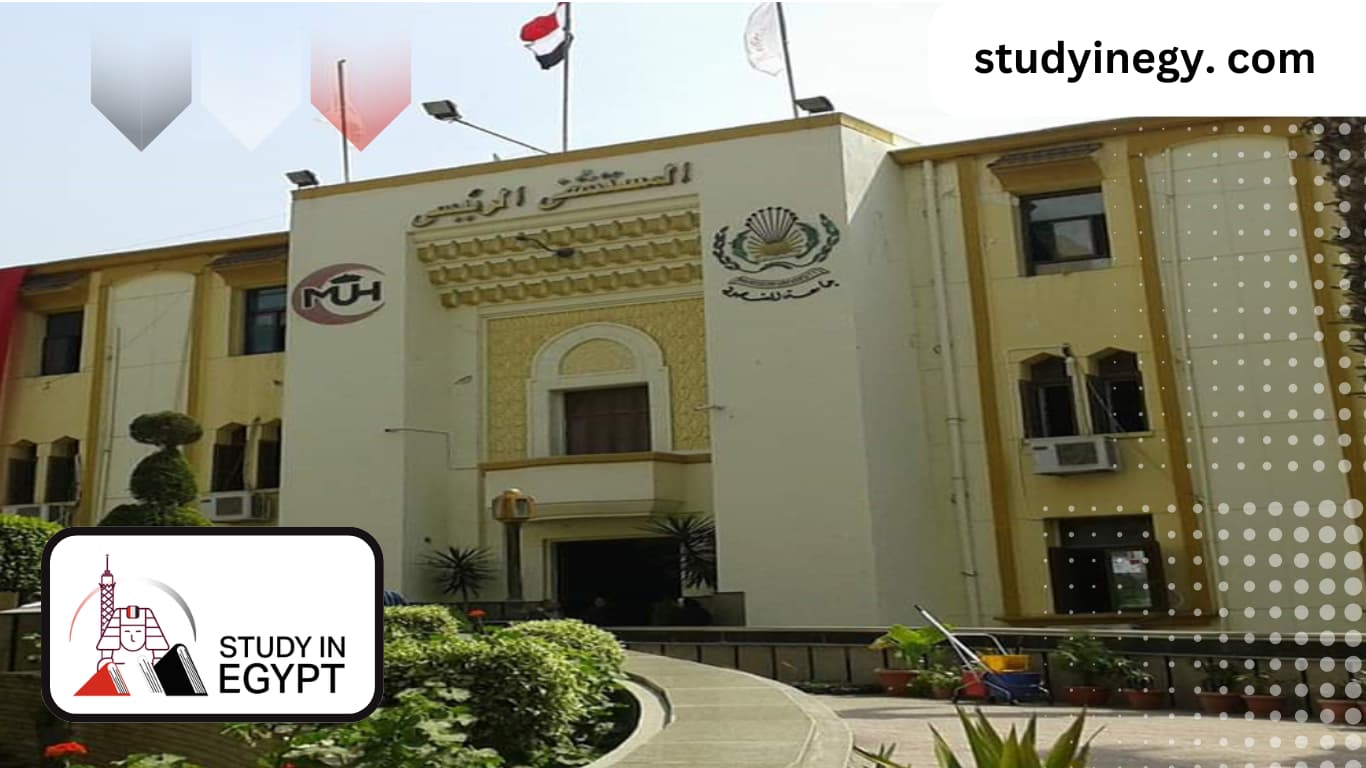 Faculty of Medicine Mansoura University