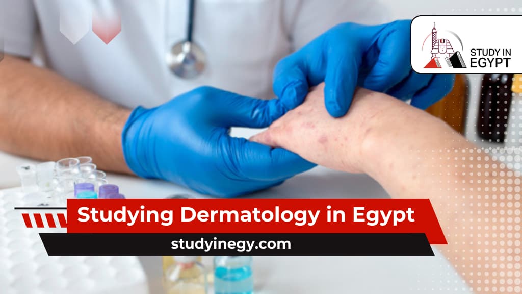 Studying Dermatology in Egypt