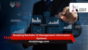 Studying Bachelor of Management Information Systems
