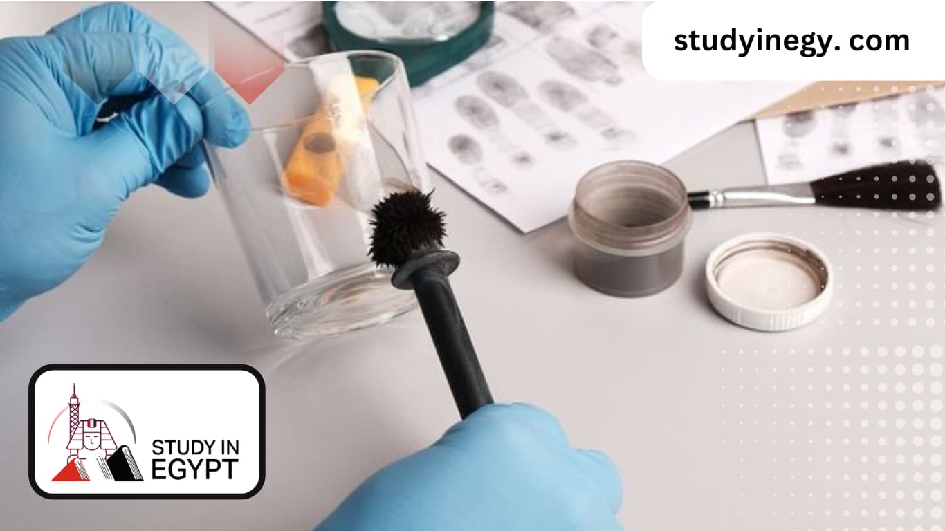 Studying Criminal Sciences in Egypt