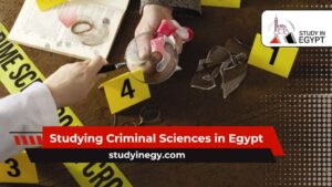 Studying Criminal Sciences in Egypt