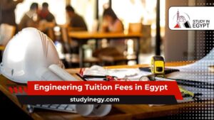 Engineering Tuition Fees in Egypt