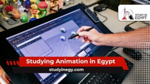 Studying Animation in Egypt